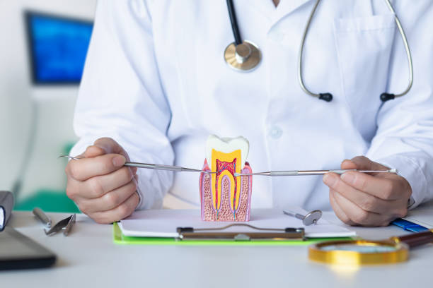 Best Pediatric Emergency Dentist in Bridgeview, IL